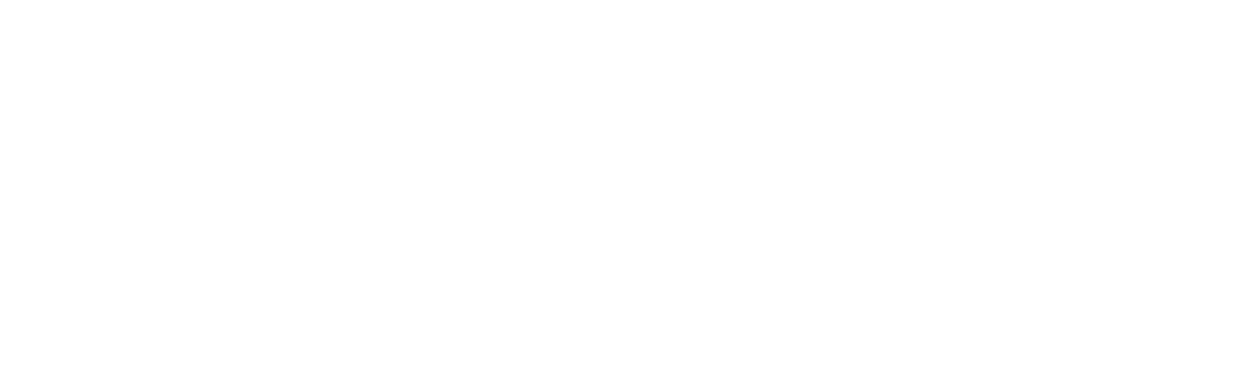 Bank Leumi Logo